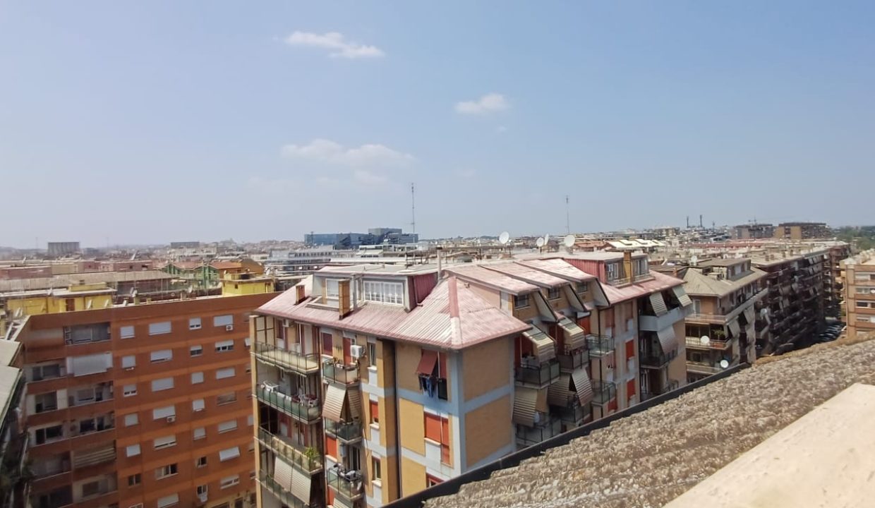 Vista
